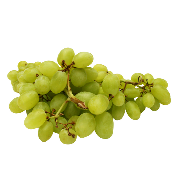 Grape Plant - Sundarkhaani