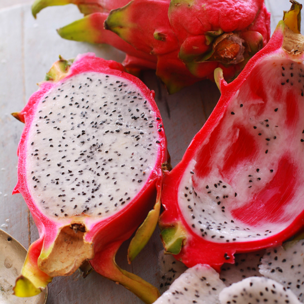 Vietnamese White Dragon Fruit Plant