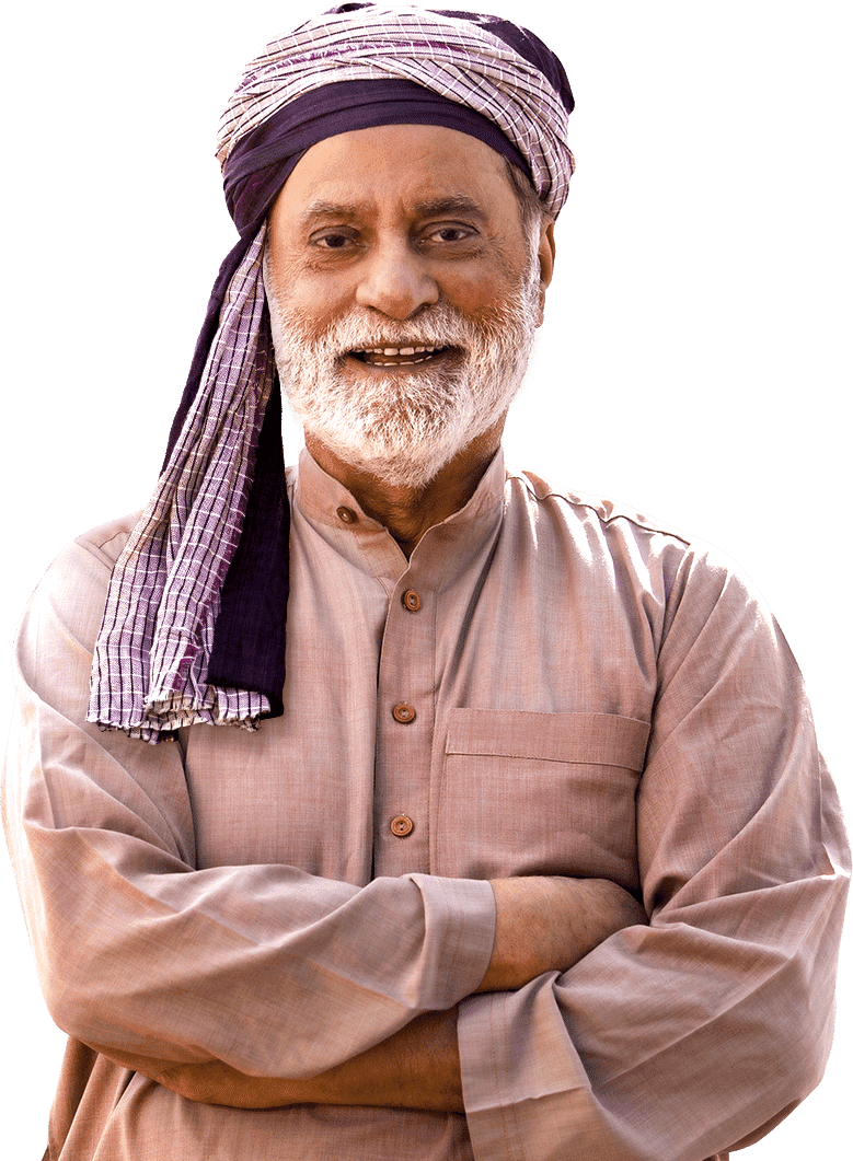 Planting New Fresh Plants